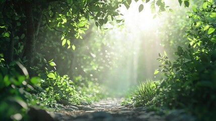 Fototapeta premium Discover a tranquil forest path where sunlight filters through lush green leaves, creating a serene atmosphere perfect for nature lovers and outdoor enthusiasts.