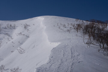 雪の大日ヶ岳