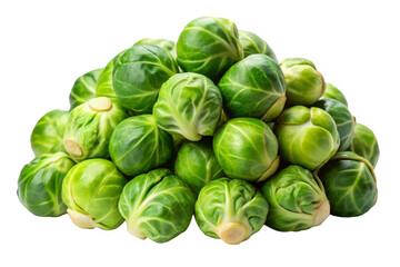 Fototapeta premium city sprouts on white background