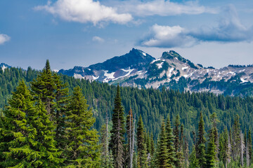 Scenery landscape of mountain. Scenery autumn countryside. Tahoma mountain landscape with forest. Mount Rainier mountain landscape. Forest nature. Nature in mountain countryside. Dramatic cliffs