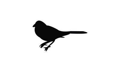 Fototapeta premium Towhee Bird Silhouette Design And Vector Illustration. 