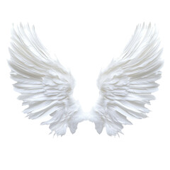 Elegant angel wings with transparent feathers isolated on a pristine transparent background, An angel wings with transparent feathers isolated on transparent background