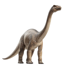Obraz premium Brachiosaurus isolated on a transparent background