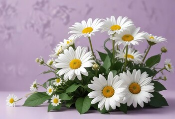 Obraz premium Elegant arrangement of white daisies with green leaves on a light purple background, floral, leaves, background