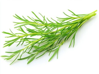 Fototapeta premium Enhancing recipes with organic fresh herbs a culinary exploration home cooking