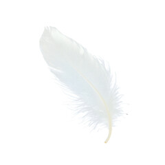 Obraz premium White feather isolated on transparent background
