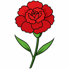 illustration of a rose