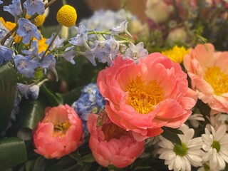 Obraz premium Pretty peony