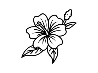 Hibiscus Flower Line Art. Black and White Floral Vector Illustration © Rabea
