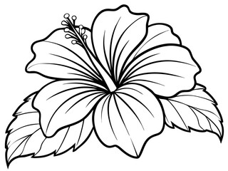 Hibiscus Flower Line Art. Black and White Floral Vector Illustration