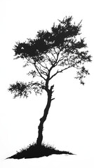 Solitary Black Tree Silhouette Against White Background