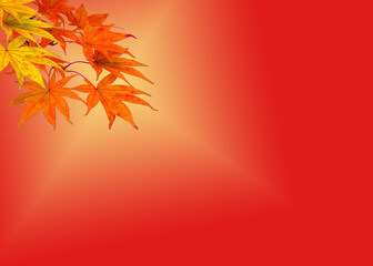 紅葉もみじイメージパターン-３