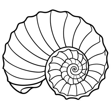 recommend clip art: Nautilus shell line art vector illustration
