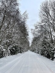 road in winter