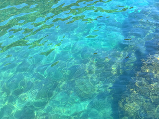 Turquoise blue sea ocean water beautiful clear background.