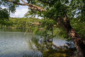 The Schlachtensee in Berlin, Germany