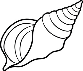 Conch Shell with Smooth Curves Vector Illustration