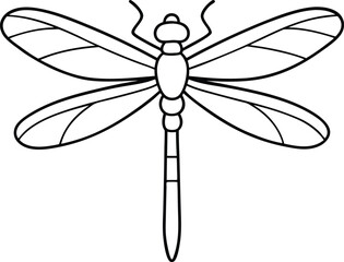 Dragonfly Vector Illustration on White Background