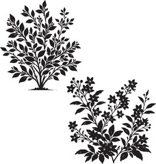 Abelia   Shrub silhouette - natural shrub - garden  Garden Decor  plant - vector of Abelia  shrub -  Environmental Icon 