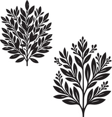 Laurel   Shrub silhouette - natural shrub - garden  Garden Decor  plant - vector of Laurel  shrub -  Environmental Icon 