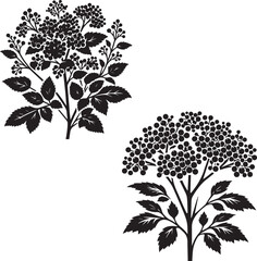 Viburnum  Shrub silhouette - natural shrub - garden  Garden Decor  plant - vector of Viburnum shrub -  Environmental Icon 