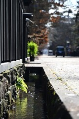 ancient street ditch