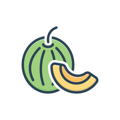 Color illustration icon for muskmelon