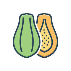 Color illustration icon for papaya