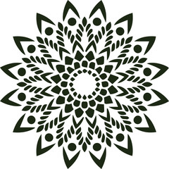 Beautiful flower art and mandala vector design