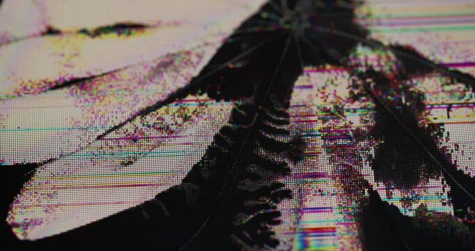 Broadcast damage. Shattered screen. Matrix glitch crackle deformation surface with dead black area broken pixels. Bad quality channel digital noise overlay.