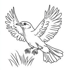 Obraz premium Bird in Flight: Line art drawing of a bird taking flight above the grass. Perfect for coloring books, nature illustrations, and ornithology projects. Coloring page 