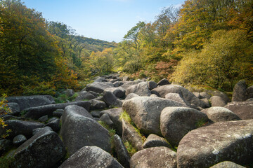 Rassemblement de rochers en granit au milieu d'une foret. Site touristique des gorges du Corong en bretagne, departement des côtes d'armor
