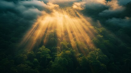 Obraz premium Sunlight breaking through clouds over lush forest nature photography aerial view tranquil environment