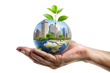 hands holding a green earth