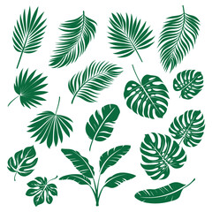 
set of exotic leaves on white background