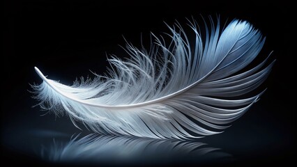 Obraz premium Floating Feather, Light Feather, Single Feather, White Feather, Soft Feather, Delicate Feather, Beautiful Feather, Nature Feather, Elegant Feather, Abstract Feather, Feathery Photography, 