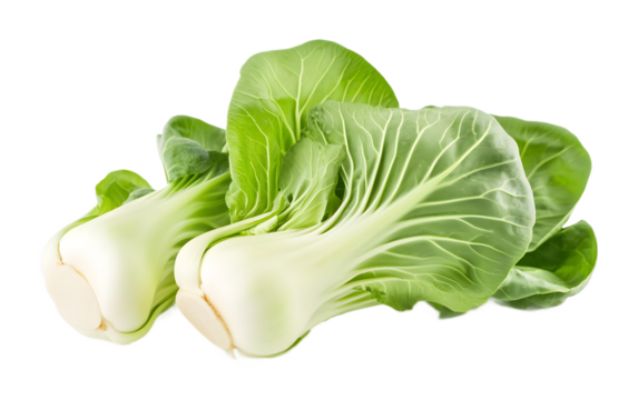 Bok choy portrait on a transparent background. isolated background.