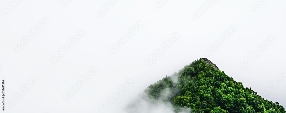 Poster mysterious fog idea. a serene mountain peak surrounded by mist, showcasing lush greenery and tranqui