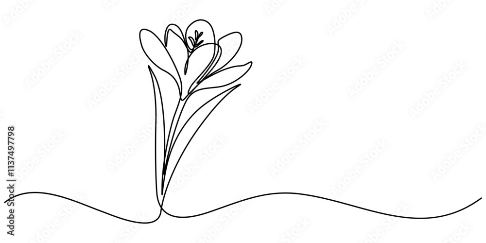 Poster Spring crocus flower in continuous line art drawing style. Minimalist black linear sketch on white background. Vector illustration, Single continuous line drawing beauty fresh croci for home wall. 