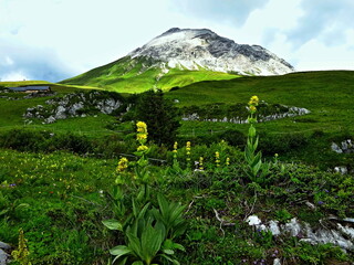 Austrian Alps - view of the Rüfispitze mountain near the village of Zürs in the Lechtal Alps