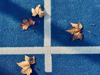 Empty blue artificial grass padel court covered with autumn leaves. End of tennis or padel season