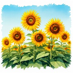 Obraz premium Sunflowers in Summer Field 