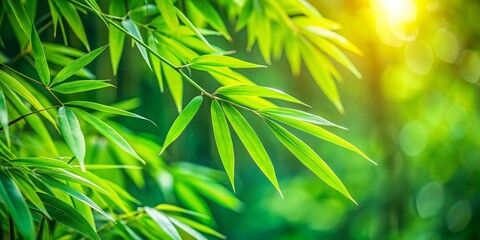Green Bamboo Leaves Wallpaper, Abstract Nature Background, Blurred Greenery, Garden Photography, Copy Space