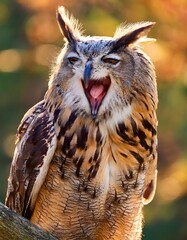 An owl mid-yawn, with its eyes half-closed, sitting on a branch in a blurred natural background, details of feathers clearly visible.