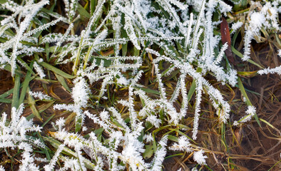 A field of grass covered in frost