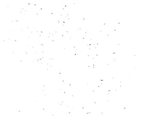 A white background with a lot of black dots