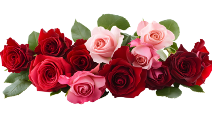 Bouquet of pink roses on a white background. isolated background.