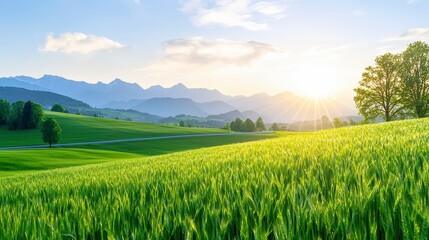 Fototapeta premium Sunrise over rolling hills scenic landscape nature photography vibrant green fields peaceful environment early morning view