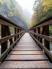 Obraz premium Morning Dew on Trails Scenic Bridge in a Misty Forest Environment