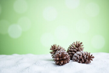 Three pinecones on green winter background